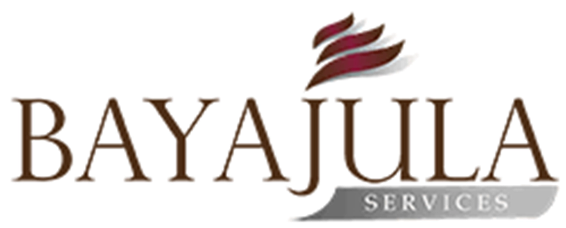 Bayajula Services